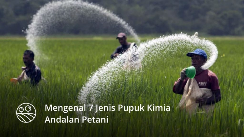 7 Jenis Pupuk Kimia Andalan Petani 7 Jenis Pupuk Kimia Andalan Petani