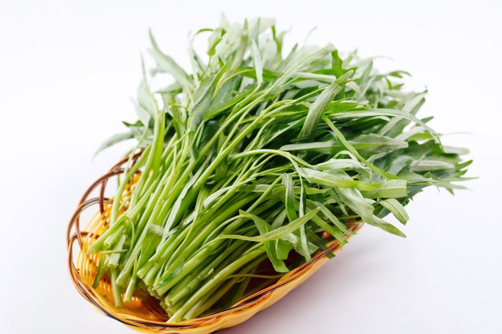 8 Langkah Mudah Budidaya Kangkung Bagi Pemula 8 Langkah Mudah Budidaya Kangkung Bagi Pemula