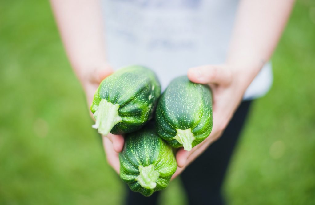 Kenalan dengan Zucchini, Buah Sayuran yang Kaya Manfaat Kenalan dengan Zucchini, Buah Sayuran yang Kaya Manfaat