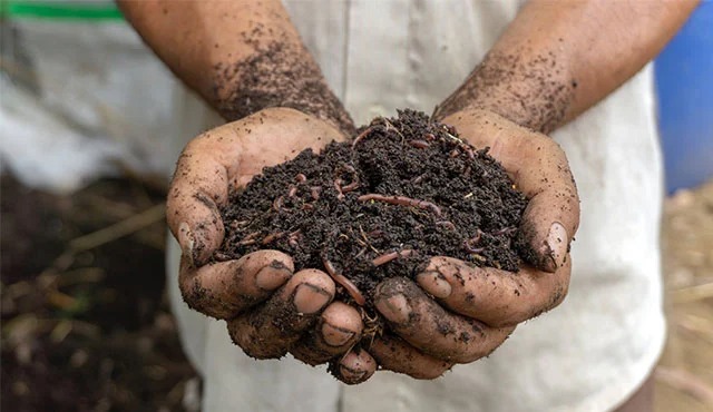 Strategi Pemberdayaan Masyarakat Desa: Upaya Mengatasi Kebutuhan Pupuk Bagi Petani Di Kabupaten Kubu Raya Kalimantan Barat