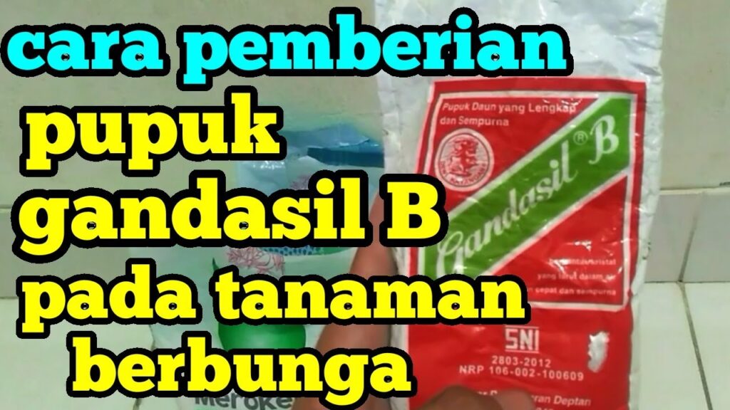 Cara Aplikasi Pupuk Gandasil B Cara Aplikasi Pupuk Gandasil B