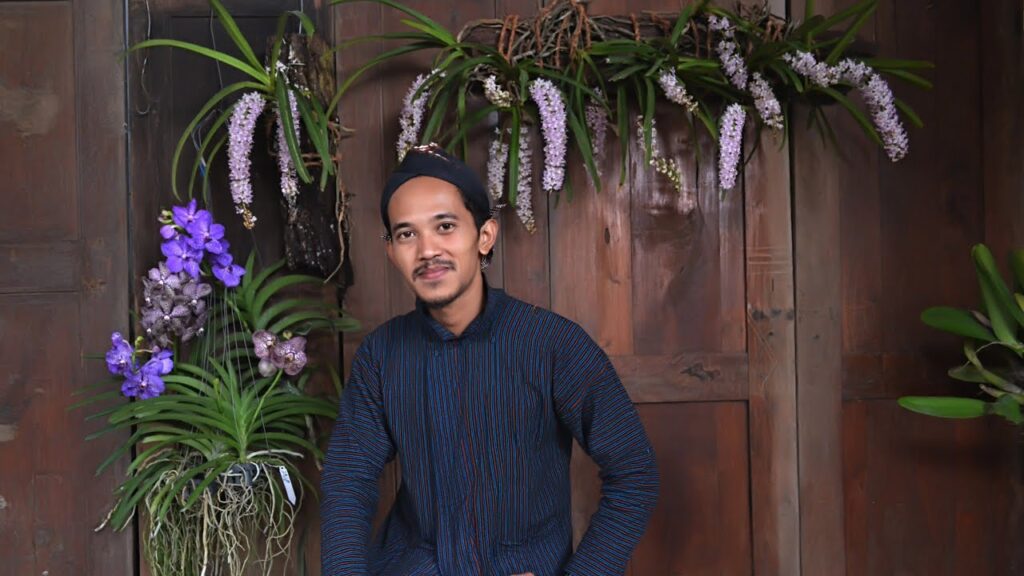 Cara Menanam Anggrek Ekor Tupai Cara Menanam Anggrek Ekor Tupai