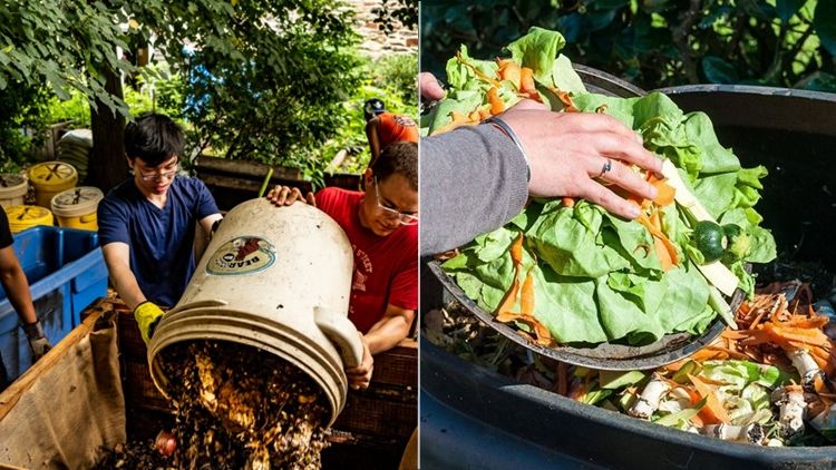 Cara Membuat Pupuk Kompos Dari Sampah Rumah Tangga