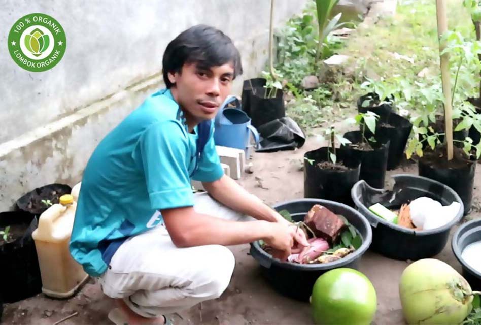 Cara Membuat Pupuk Zinc